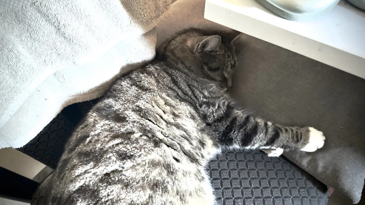 Cover image for Chaos, Kaffee und ein Agent der mich kennt